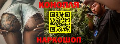 прущие грибы Рузаевка
