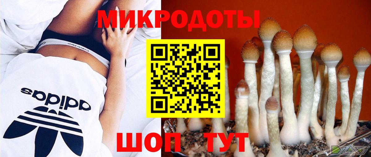 Галлюциногенные грибы ЛСД Сальск