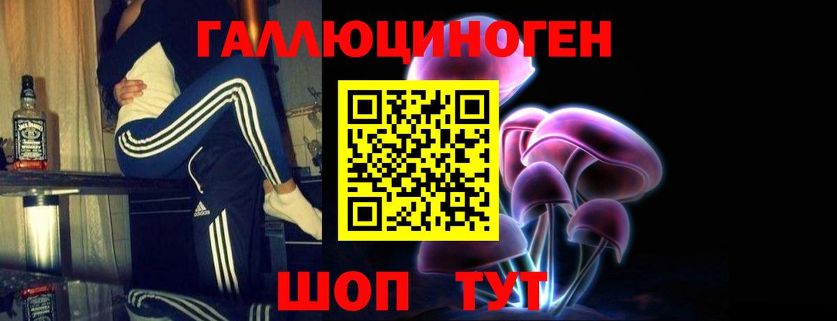Галлюциногенные грибы Magic Shrooms  Псилоцибиновые грибы GOLDEN TEACHER  Вход с VPN  Сальск 